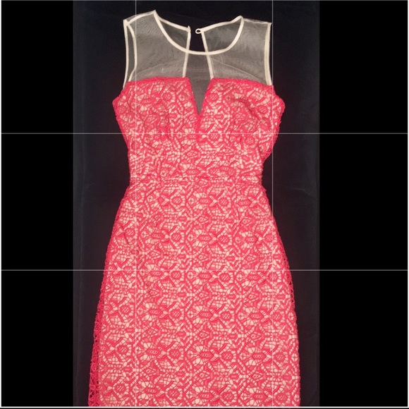 SALE‼️Alice by Temperley Lace BodyCon- Nude Mesh - Picture 5 of 7